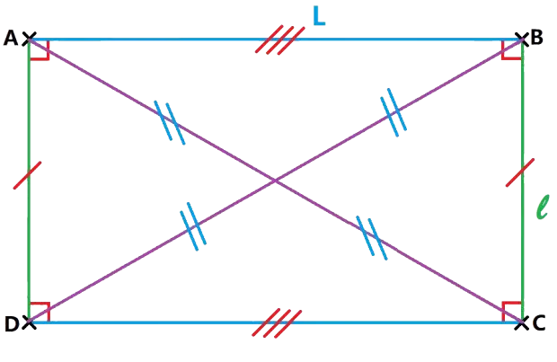 Calculer périmètre rectangle